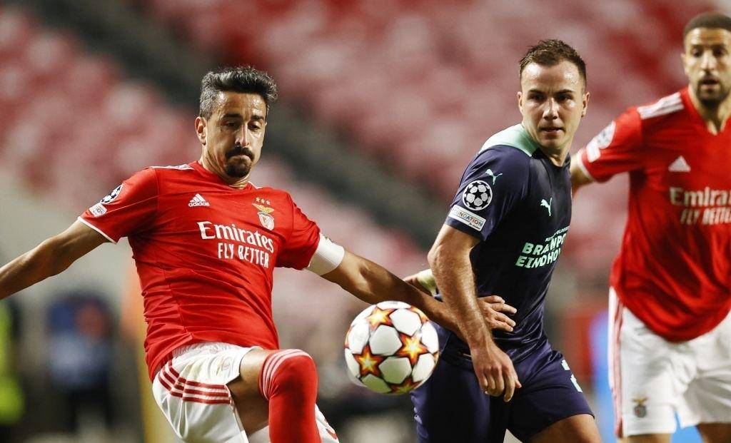 入了信心的 入了信心的